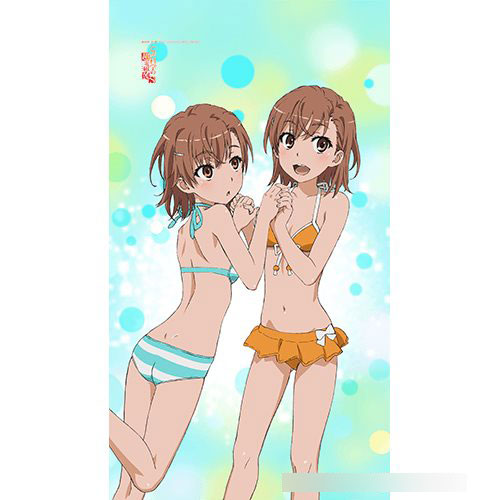 とある科学の超電磁砲S のれん(美琴＆御坂妹)（再販）[カーテン魂