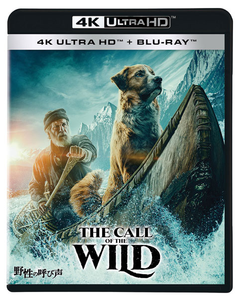 UHD BD 野性の呼び声 4K UHD (Blu-ray Disc)[ウォルト・ディズニー・スタジオ・ジャパン]《在庫切れ》