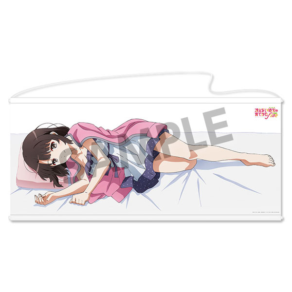 冴えない彼女の育てかた Fine 描き下ろし等身大いっしょ寝タペストリー 