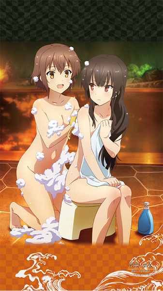 刀使ノ巫女 のれん(衛藤可奈美＆十条姫和)[カーテン魂]《在庫切れ》