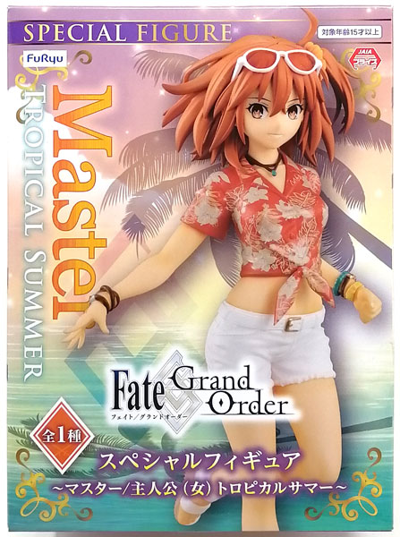 Fate/Grand Order スペシャルフィギュア～マスター/主人公(女