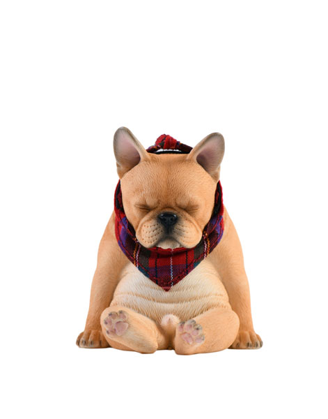 1/6 フレンチブルドッグ E[JXKスタジオ]《在庫切れ》