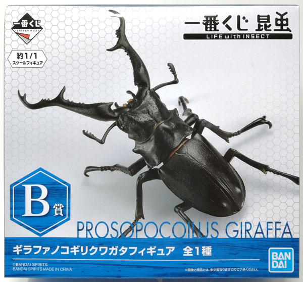 一番くじ 昆虫 LIFE with INSECT B賞 ギラファノコギリクワガタ