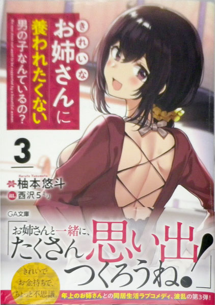 きれいなお姉さんに養われたくない男の子なんているの？3 (書籍)[ソフトバンククリエイティブ]《在庫切れ》
