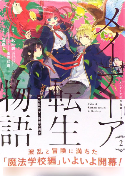 メイデーア転生物語 この世界で一番悪い魔女(2) (書籍