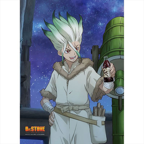 Dr.STONE 描き下ろしB2タペストリー(石神千空)[カーテン魂]《在庫切れ》