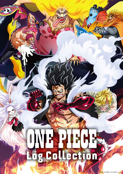 特典 Dvd One Piece Log Collection Levely エイベックス ０９月予約