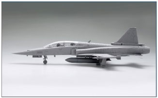 1/48 TF-20B タイガーシャーク 高等練習機 米空軍 “What If”(もしも) バージョン プラモデル[フリーダム・モデルキット ]《在庫切れ》