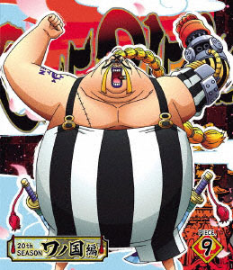 BD ONE PIECE ワンピース 20THシーズン ワノ国編 piece.9 (Blu-ray Disc)[エイベックス]《在庫切れ》