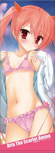 緋弾のアリア スポーツタオル 神崎 H アリア コンテンツシード 在庫切れ