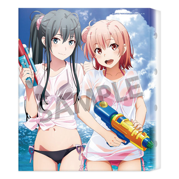 やはり俺の青春ラブコメはまちがっている。完 キャンバスアート 雪乃＆結衣 水着2019ver.[ホビーストック]《在庫切れ》