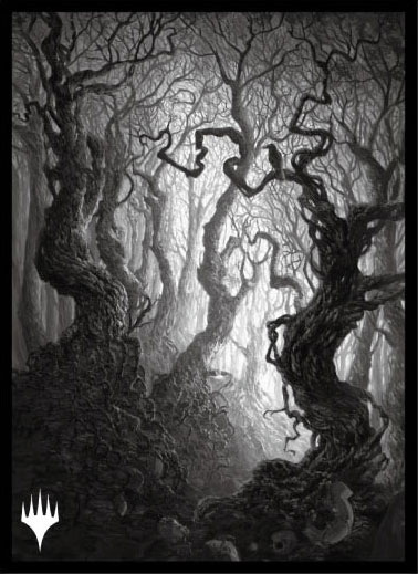 マジック：ザ・ギャザリング プレイヤーズカードスリーブ MTGS-192 『イニストラード：真夜中の狩り』「永遠の夜」版 ≪森≫ (A)《０２月予約》