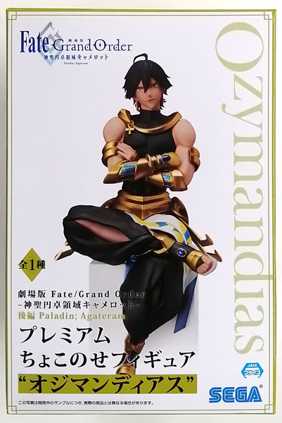劇場版 Fate/Grand Order -神聖円卓領域キャメロット- 後編 Paladin