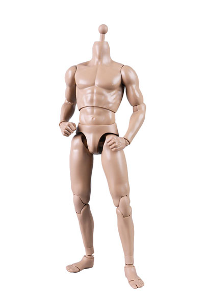 素体 1/6スケール マッスルボディ ホットトイズ製 ashapurarealtors.com