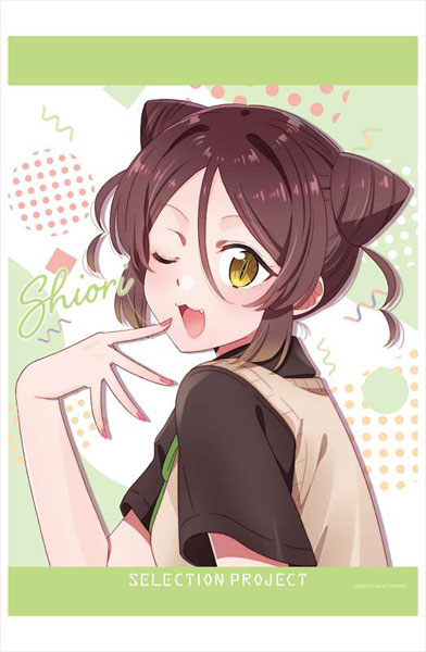 SELECTION PROJECT Blu-ray/DVD ソフマップ・アニメガ 全巻 購入