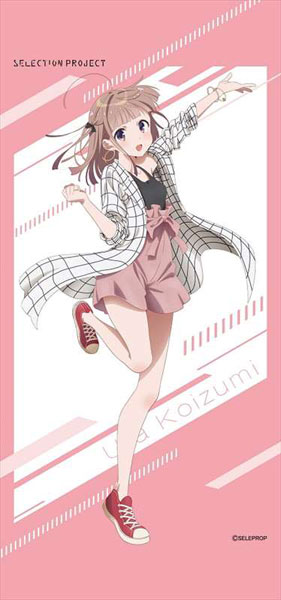 SELECTION PROJECT ミニタペストリー 小泉詩[エムズファクトリー 