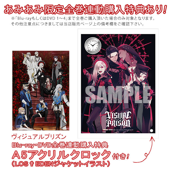 ヴィジュアルプリズン 3.4〈完全生産限定盤〉DVD 【公式通販】