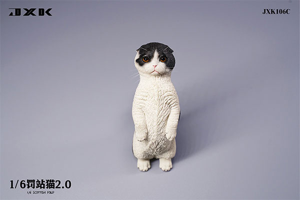目が追いかけてくれるスコティッシュホールドの置物 目が追いかけてくれるスコティッシュホールドの置物 （ぽてち 𖦥