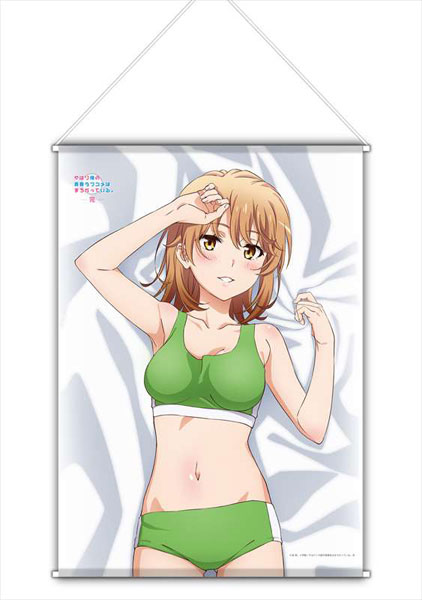 やはり俺の青春ラブコメはまちがっている。完 描き下ろし B2