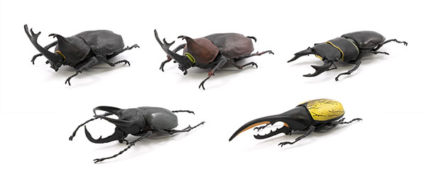 商談中】カブトムシ、クワガタ