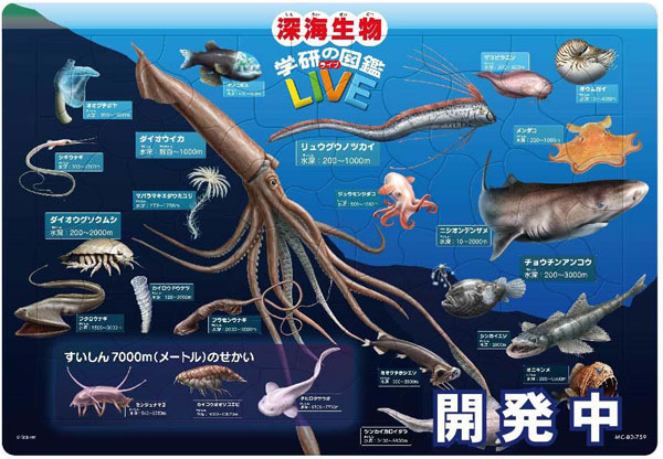 ジグソーパズル チャイルドパズル 深海生物図鑑(学研の図鑑 LIVE) 80