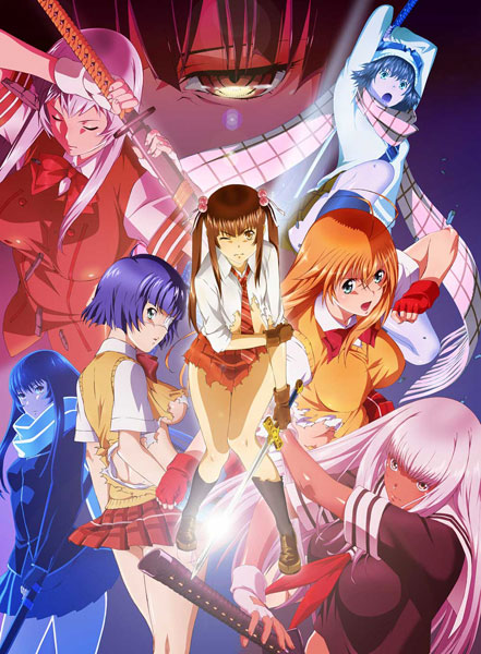 BD 真・一騎当千 (Blu-ray Disc)[KADOKAWA]《在庫切れ》