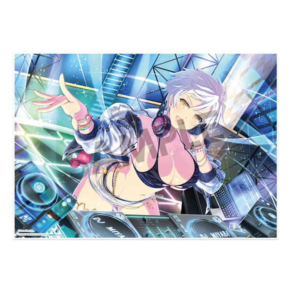 シノビマスター 閃乱カグラ NEW LINK ビジュアルアクリル