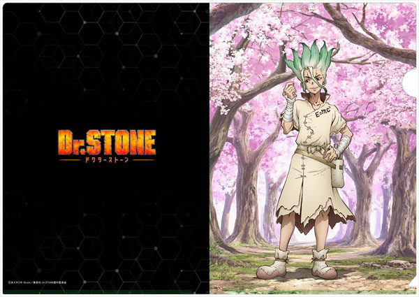 Dr.STONE 描き下ろし A4クリアファイル 石神千空(桜)（再販