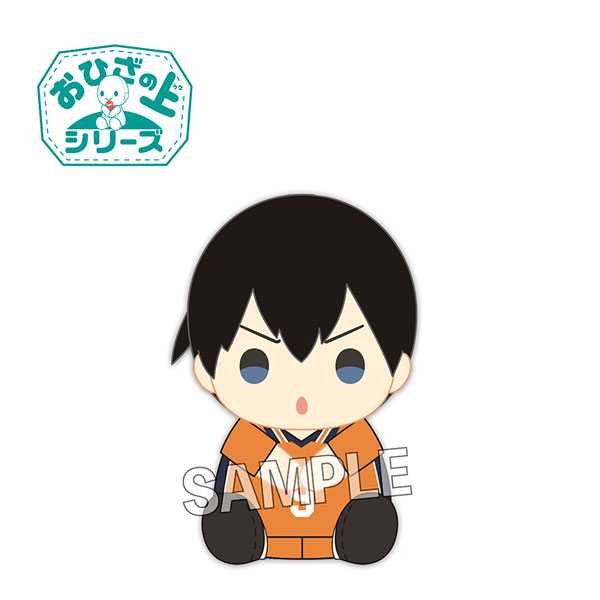 ハイキュー!! おひざの上 及川徹・影山飛雄 及川徹