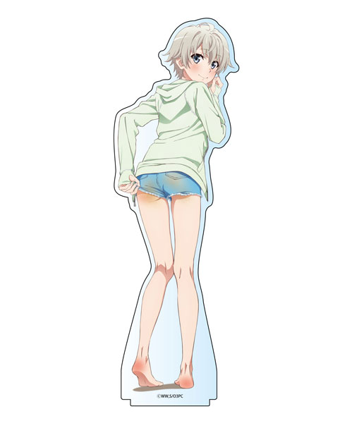 やはり俺の青春ラブコメはまちがっている。完 描き下ろし 海辺ビキニ