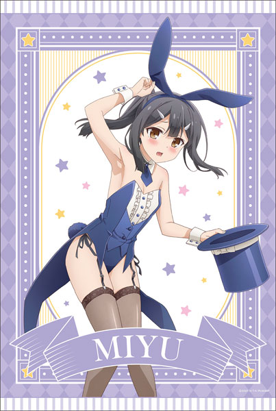 プリズマ☆イリヤ Licht 名前の無い少女 描き下ろしB2タペストリー