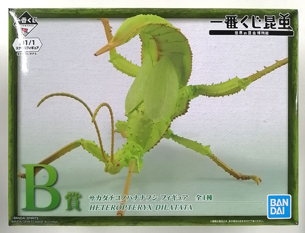一番くじ昆虫 世界の昆虫博物館 B賞 サカダチコノハナナフシ 