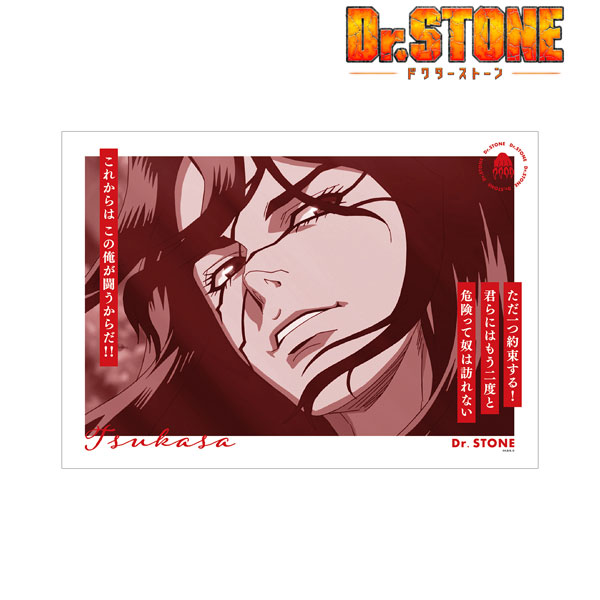 獅子王司】 コレクションカード Dr.STONE - トレカ&ホビーの通販