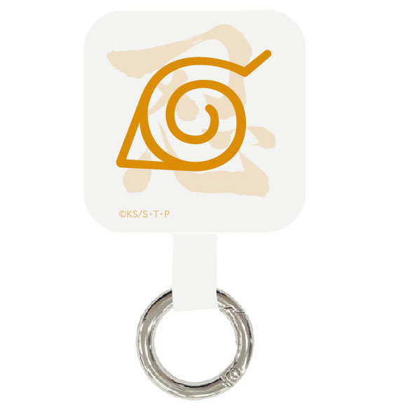 その他観葉植物 NORUTO OB-1オブツーサと百鬼交配錦と短狂刺天平丸 | ☆ガマンマの ニク