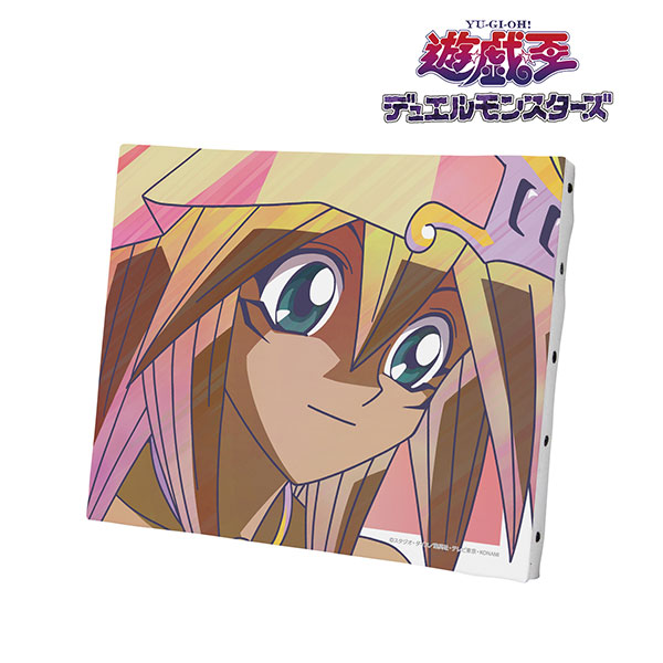 遊戯王 キャンバスアート 遊☆戯☆王ZEXAL 』キャンバスアート 01/振り向きver. 集合