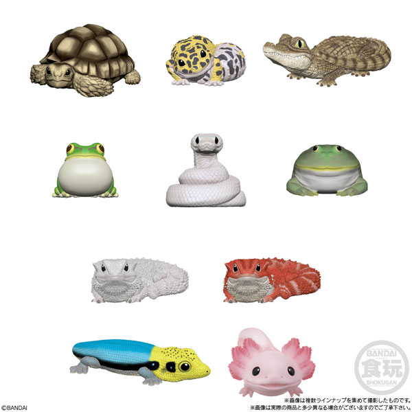 てのりフレンズ8 12個入りBOX (食玩)[バンダイ]《在庫切れ》