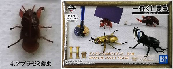 一番くじ昆虫 世界の昆虫博物館 H賞 デスクトップ昆虫フィギュア