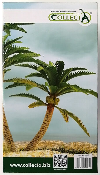 ココヤシの木 89663(1332532) Cocos palm] Pruning method 25⁄5⁄1 - YouTube