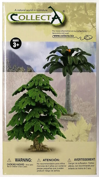 A natural world in miniature No.89332 ソテツの木