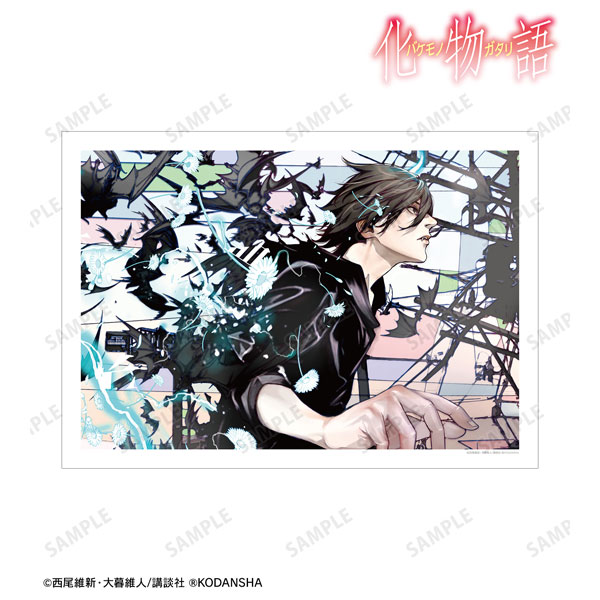 漫画『化物語』 阿良々木暦 特装版14巻表紙イラスト A3マット加工ポスター[アルマビアンカ]《在庫切れ》