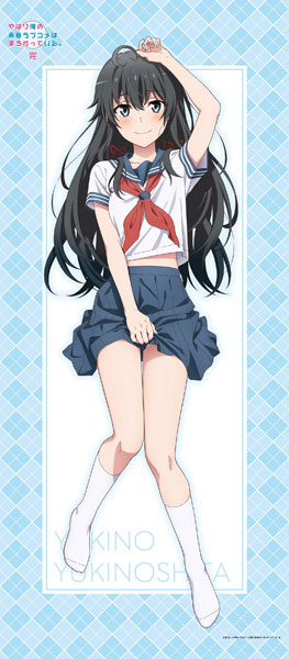 やはり俺の青春ラブコメはまちがっている。完 描き下ろし BIG 