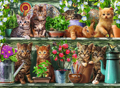 ジグソーパズル Ravensburger パズル ネコシリーズ 戸棚の中の子猫たち