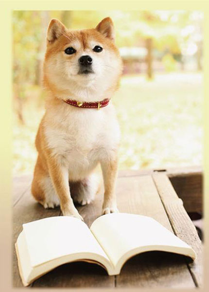 SUGOI スリーブ ふるもっふ vol.001 いぬ　柴犬 SUGOIスリーブシリーズ ふるもっふ いぬ ver.2 パック（再販）[遊縁