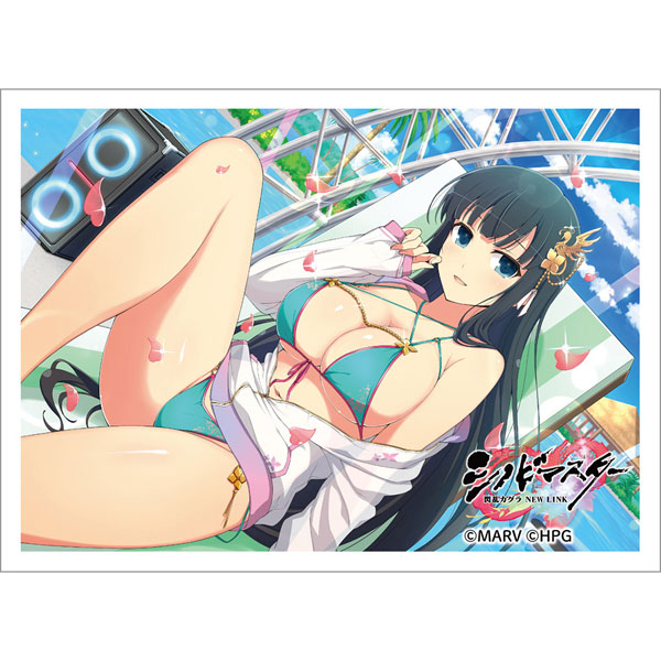シノビマスター 閃乱カグラ NEW LINK スリーブ(斑鳩/伝説爆乳祭) パック[キース]《在庫切れ》