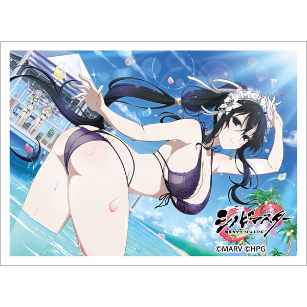 シノビマスター 閃乱カグラ NEW LINK スリーブ(雪不帰/81の日爆乳祭