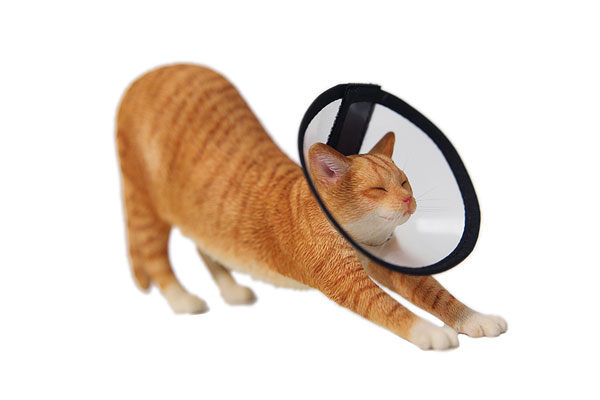 1/6 ストレッチング キャット C[JXKスタジオ]《在庫切れ》