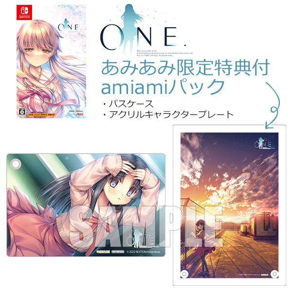 あみあみ限定版】Nintendo Switch ONE. amiamiパック[novamicus]《在庫