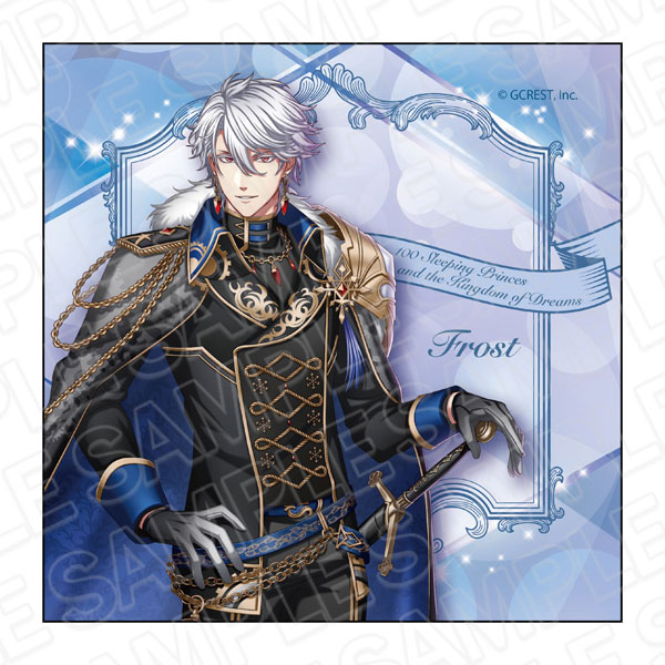 夢王国と眠れる100人の王子様 マイクロファイバー フロスト An Eternal