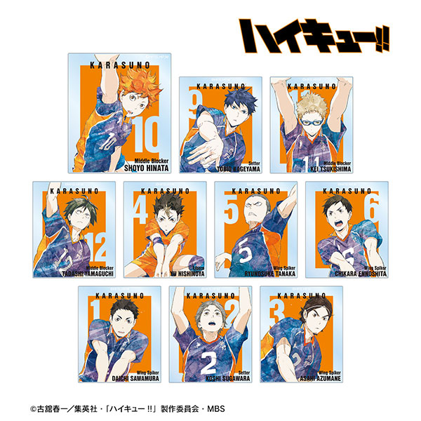 ハイキュー アニメ 完結 ナンジャモのカイデン PROMO PSA10