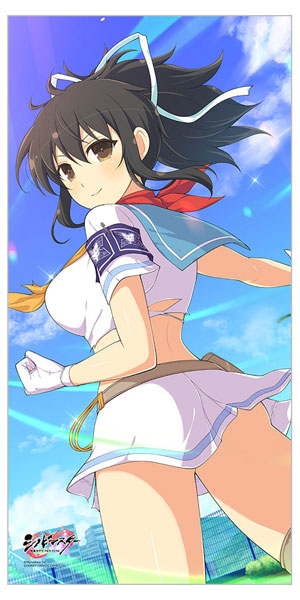 シノビマスター 閃乱カグラ NEW LINK ロングクッションカバー(飛鳥/新